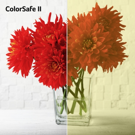 002 - Acer ColorSafe II.jpg (468×468)